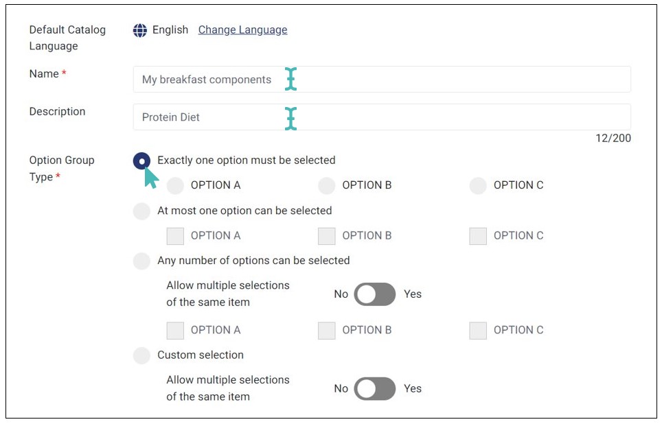 creating an option group