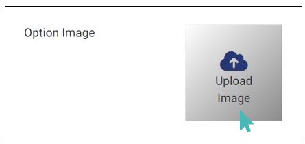 Click to Upload an Option Image