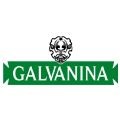 Galvanina